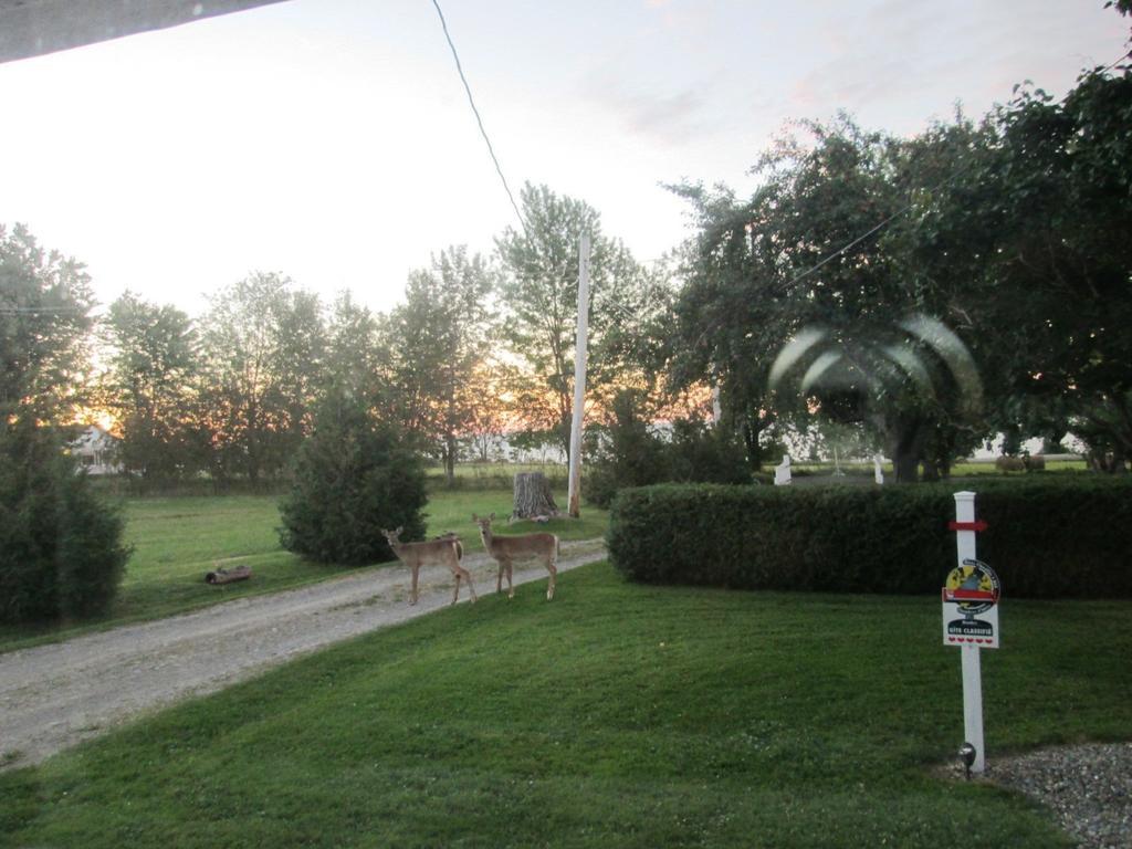 Gite Les Acres Tranquilles B&B Port-Daniel Экстерьер фото